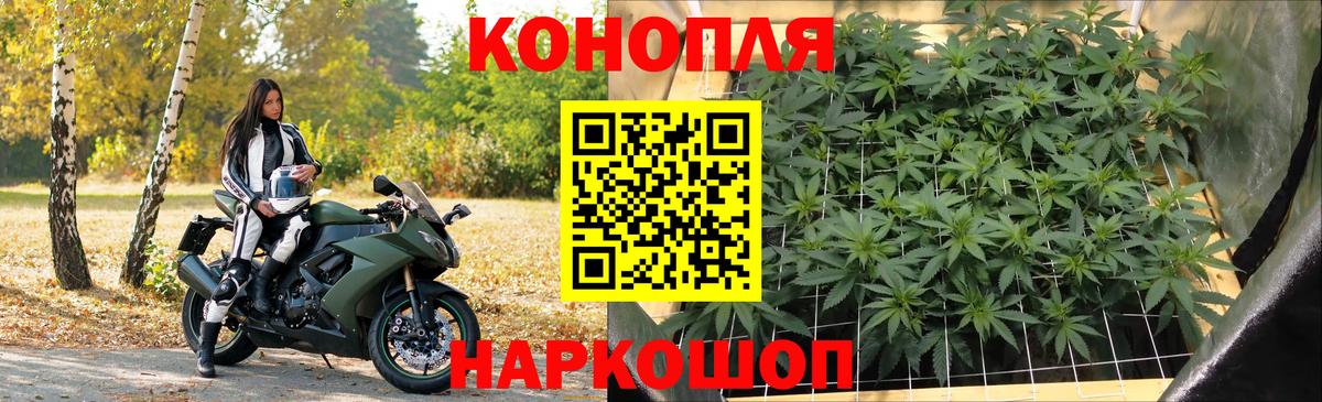 Каннабис сатива Сафоново